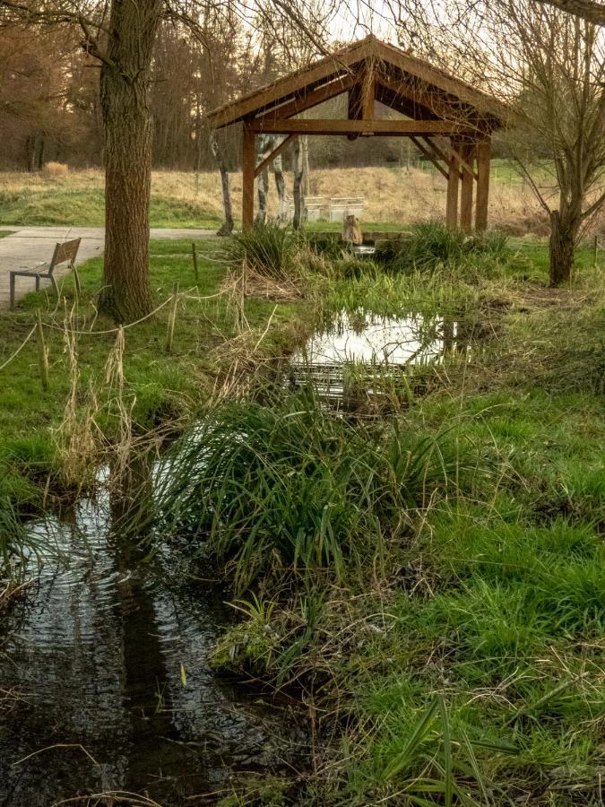 Penzion Le Domaine Des Droles De Dames Buding Exteriér fotografie